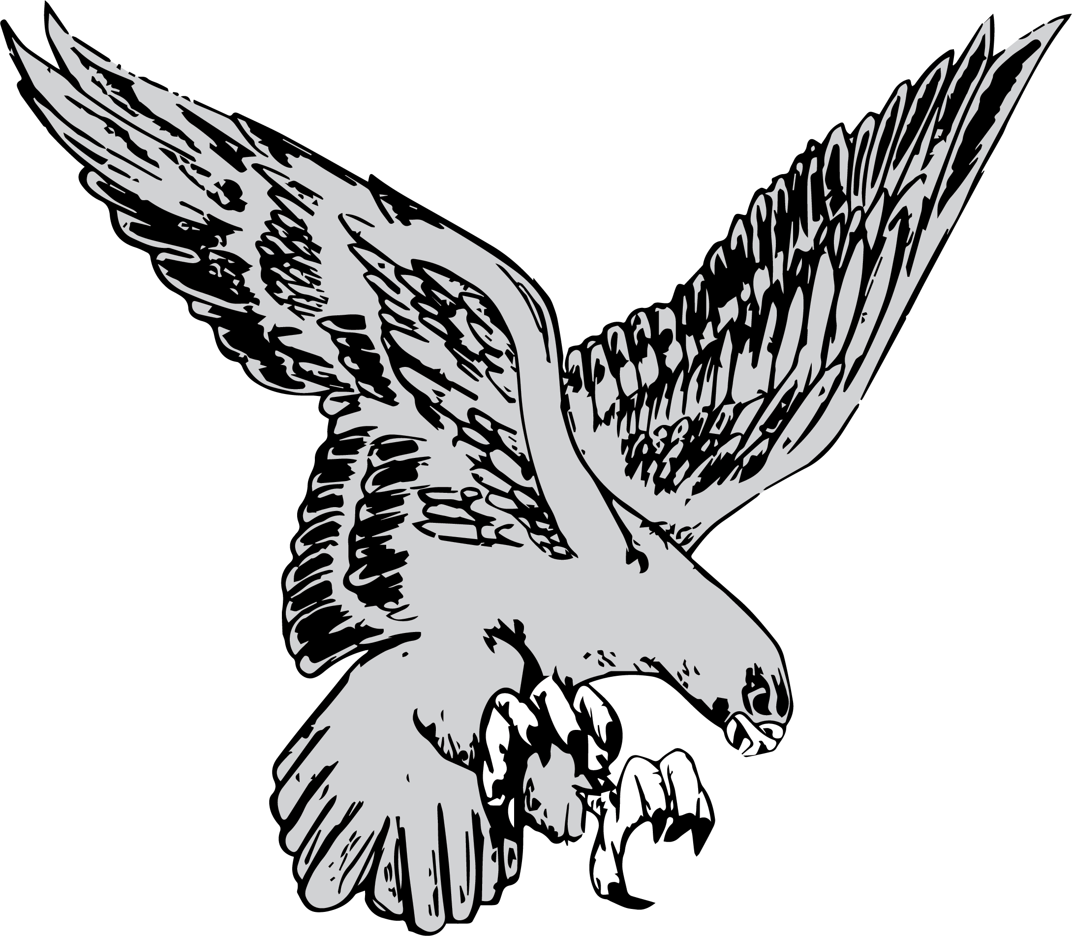 Cedar Crest High School Logo