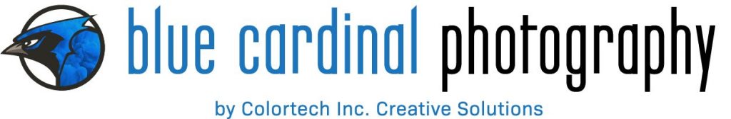 Blue Bird for Blue Cardinal Photography with Colortech