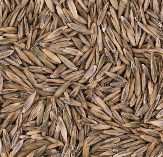 seeds