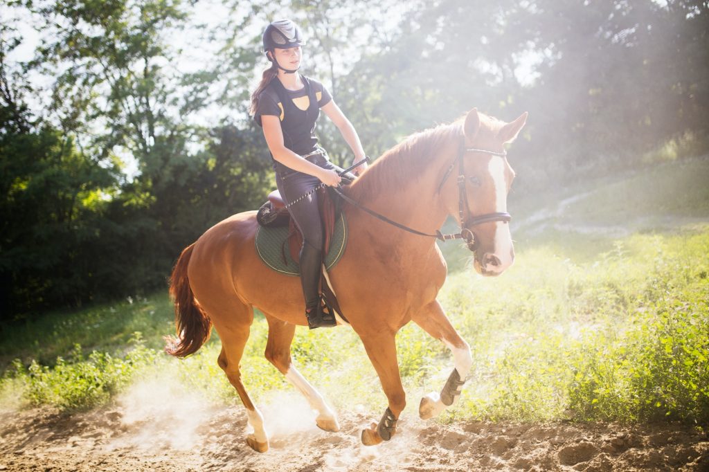 Portrait of young woman riding horse in countryside
